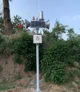 聲光報警水位站